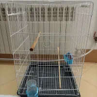 قفس طوطی وکاسکو