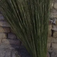 جارودستی