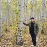 هر نهــال صنوبر، یک قدم به سوی ثروت