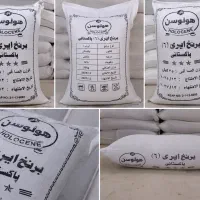 برنج هولوسن