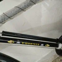 دوچرخه کورسی کلکسیونی|دوچرخه، اسکیت، اسکوتر|تهران, تهرانپارس شرقی|دیوار