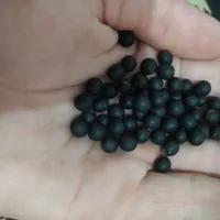 یسر معاوضه با مرغ عشق
