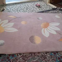 گلیم|گلیم، جاجیم، گبه|تایباد, |دیوار