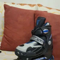 اسکیت سایر لارج