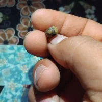 مهره. چشمی قدیمی. سنگ آسیاب