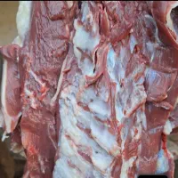 توزیع عمده گوشت گوساله