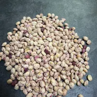 لوبیا چیتی و قرمز و چشم بلبلی و نخود و لپه و ماش و|خوردنی و آشامیدنی|تهران, منصوریه (پل سیمان)|دیوار