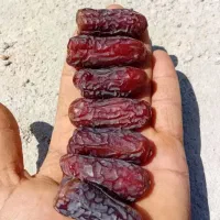فروش عمده خرماصادراتی پیارم