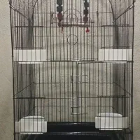 قفس پرندگان