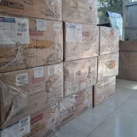 پکیج دیواری لورچ 24000 مدل اکونومی