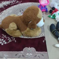 تعدادی عروسک|اسباببازی بچه|ایوان, |دیوار