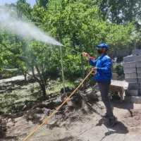 سمپاشی و باغبانی  گل آپارتمانی گلکاری هرس کردن