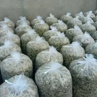 فروش تفاله چغندر ارسال به سراسر کشور|عمدهفروشی|مشگین شهر, |دیوار