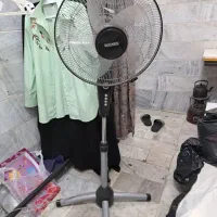 پنکه مارک بیگنس