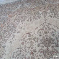 یک عدد فرش دوازده متری تمام نخ تراکم 1000|فرش|گلبهار, شهر جدید گلبهار|دیوار
