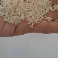 برنج طارمی هاشمی|خوردنی و آشامیدنی|تهران, هاشمآباد (شهرری)|دیوار
