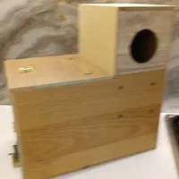 لانه ملنگویی