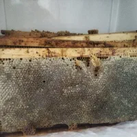 عسل طبیعی به شرط