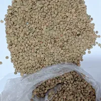 عدسی خانگی تازه و بوجاری شده،هر کیلو ۱۴۰ هزار