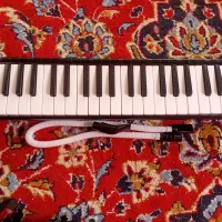 ملودیکا|سازهای بادی|جهرم, |دیوار