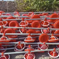 تجهیزات مرغداری|ماشین‌آلات صنعتی|اهواز, نادری|دیوار