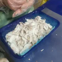قارچ اسلایس شده