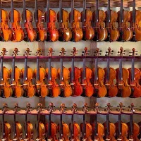 فروش انواع ویولن