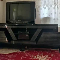 زیر تلوزیونی