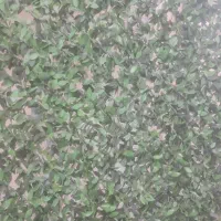 فروش برگ ریحان|گل مصنوعی|همدان, |دیوار