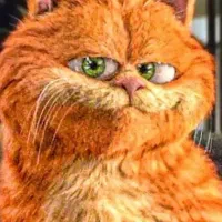 پت شاپ غذا گربه و خاک ملزومات