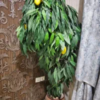 درختچه مصنوعی