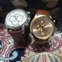 ساعت سیتریزن و الگاس