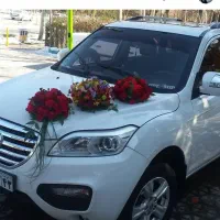 گل وگیاه لاکچری، کیفیت بالا، قیمت مناسب|گل و گیاه طبیعی|لنجان, |دیوار