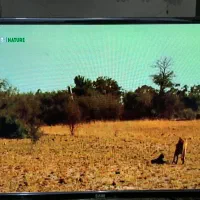 تلویزیون ۳۲.اینج سام الکتریک|تلویزیون و پروژکتور|خرم‌آباد, |دیوار