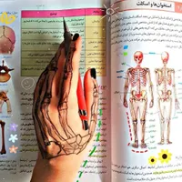 مشاوره کنکور تجربی|خدمات آموزشی|تهران, جردن|دیوار