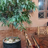 نیروی اقا جهت کار در سفره خانه