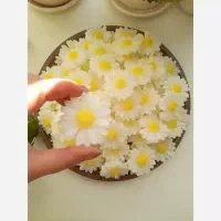 شمع