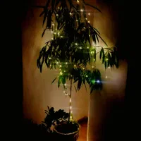 نصب چمن مصنوعی طراحی و اجرای فضای سبز