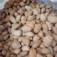 بادام شیرازی درجه یک شیرین بدون تلخ