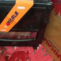 بخاری نیک کالا در حدنونو