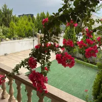 شهر‌ک بازنشستگان تهرانیا/ هر ویلا ۸۰۰میلیون اقساطی|فروش خانه و ویلا|تهران, ابوذر (منطقه ۱۵)|دیوار