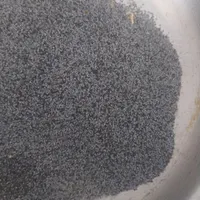 بذر گل دارویی سفید وسیاه|گل و گیاه طبیعی|کرمانشاه, |دیوار