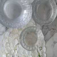 بشقاب فرانسه