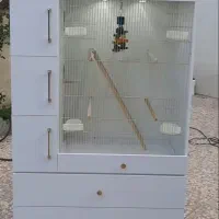 قفس طوطی