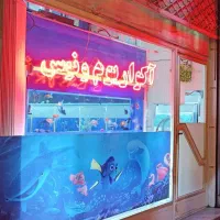 /ماهی گلدفیش سیاه سایزسوپر/آکواریوم ونوس