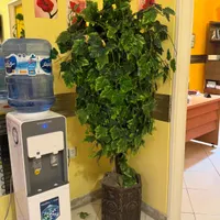 درخچهمصنوعی