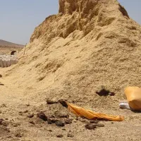 کاه نخود و کاه گندم خریدارم