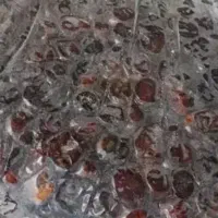 خرما تازه و تمیز و بهداشتی (خرمای شسته شده )