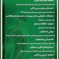 معجون معجزه|خوردنی و آشامیدنی|لاهیجان, گلستان|دیوار