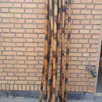 چوب بامبو سایز ۳ سانت ارتفاع ۲/۲۰